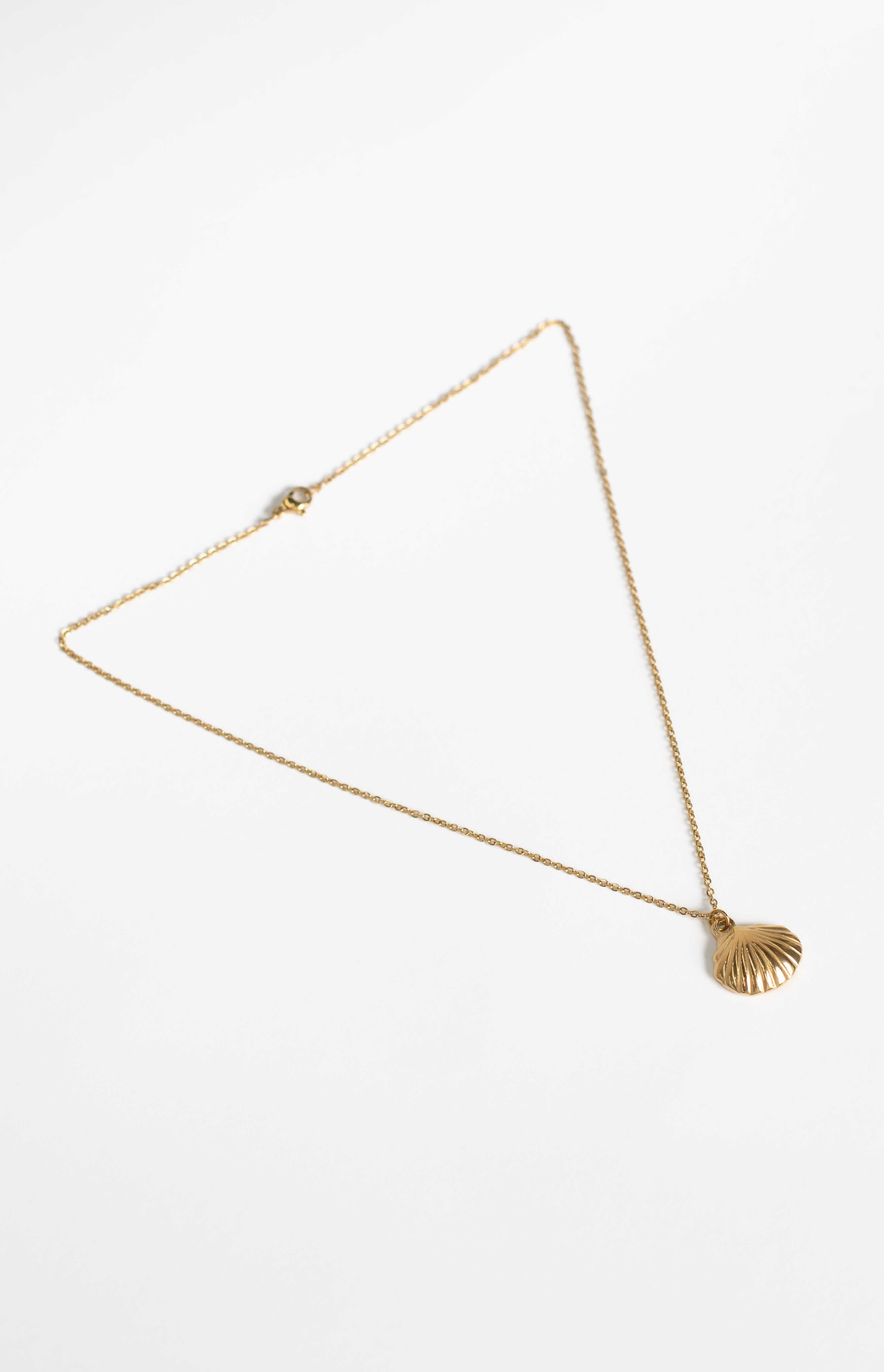 Flat lay of a gold chain necklace with a ribbed shell pendant and a lobster clasp closure