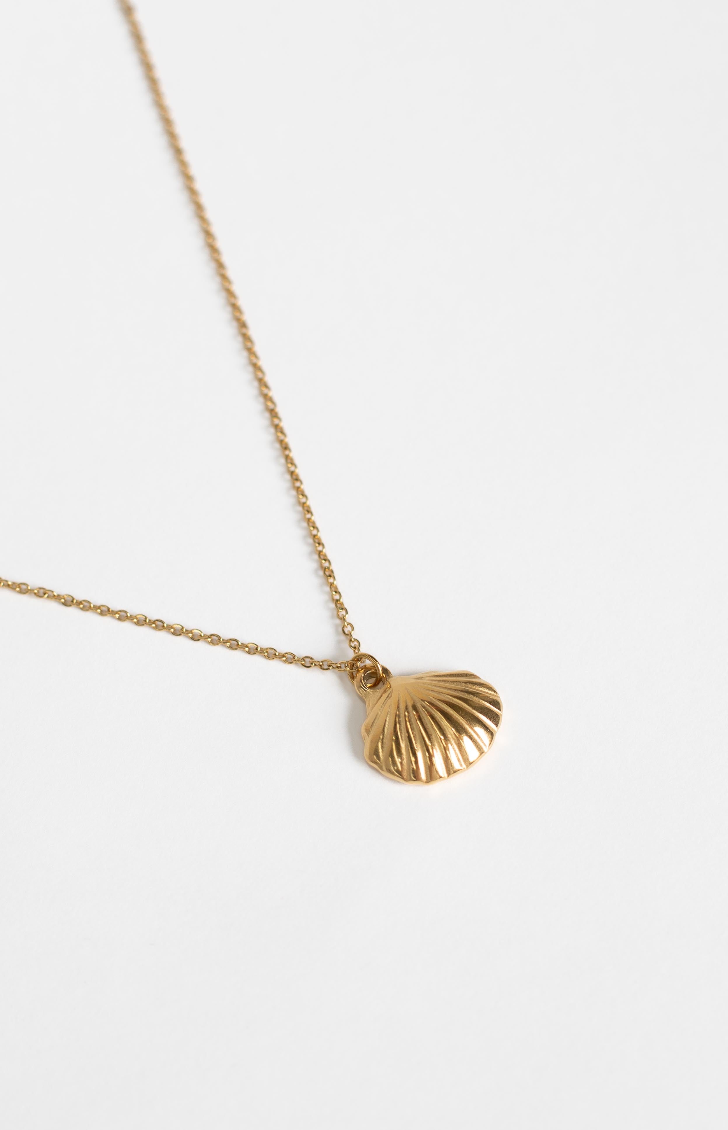 Close-up of a gold shell pendant with ridged details on a delicate chain