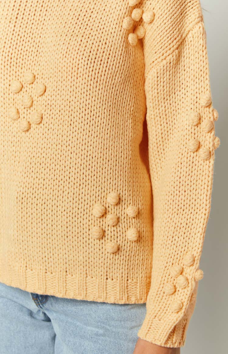 Andrina Yellow Knit Jumper Image