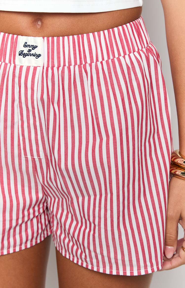 Close-up of the embroidered label and elasticated waistband on red and white striped boxer shorts
