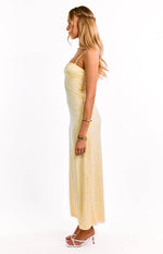 Ely Yellow Lace Maxi Formal Dress Image