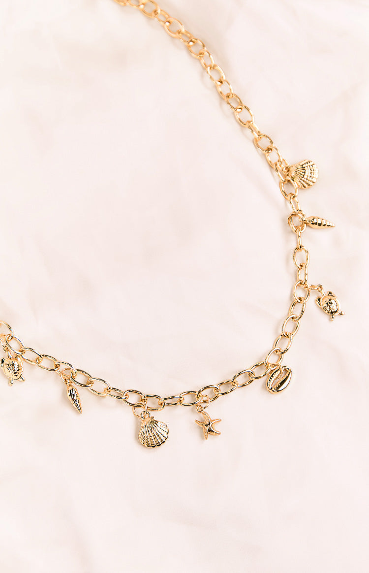 Gold Chain Shell Belt Image