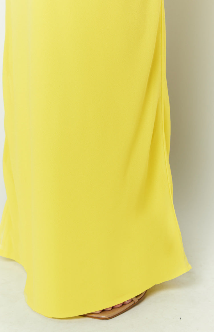 Jacqulin Yellow Maxi Skirt Image