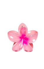 Level 4 Rewards Goodie Bag Image