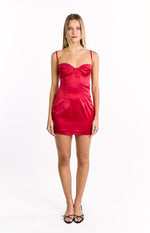 Trouble Wine Mini Dress Image