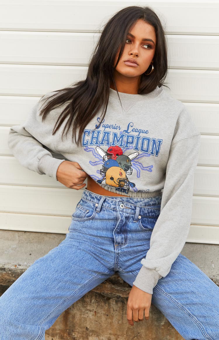 House of Champions Grey Sweater Image
